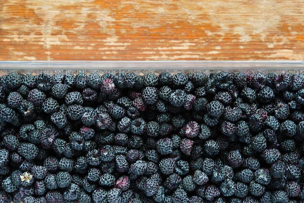 Blackberry Hintergrund Frische Ganze Beeren Von Reifen Brombeeren — Stockfoto
