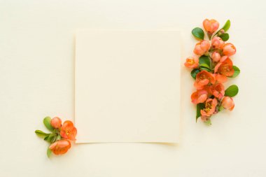 Beautiful flower arrangement. Bright orange flowers, free space for text on a light pastel background. Wedding, birthday. Valentine's day, mother's day. Top view, copy space