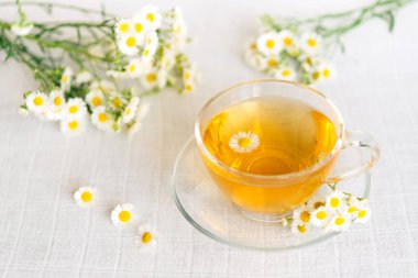 Papatya çiçekli bir fincan bitki çayı.