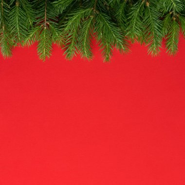 Yeşil köknar dallarından Noel kırmızı arka planı, çerçeve, üst görünüm