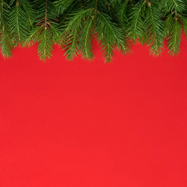 Natale Sfondo Rosso Rami Abete Verde Cornice Vista Dall Alto — Foto Stock