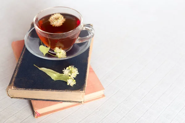 Herbata Ziołowa Lipy Jasnym Pastelowym Tle Przestrzeń Kopiowania — Zdjęcie stockowe