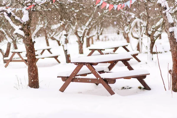 Winter Background Wooden Table Bench Snow Covered Trees Snowy Landscape — Fotografia de Stock