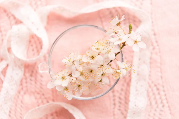 Άνθη Κερασιάς Ένα Μικρό Γυάλινο Βάζο Λεπτό Ροζ Πλεκτό Φόντο — Φωτογραφία Αρχείου