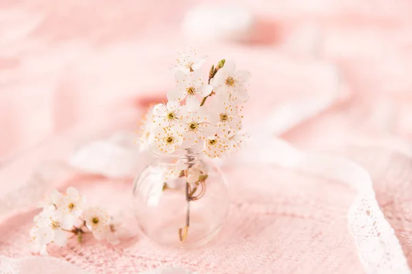 Fleurs Cerisier Dans Petit Vase Verre Sur Délicat Fond Tricoté — Photo