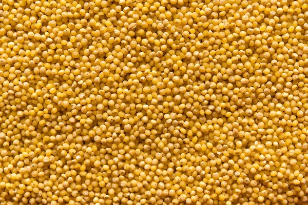 Yellow Millet Background Top View — Stock Photo, Image