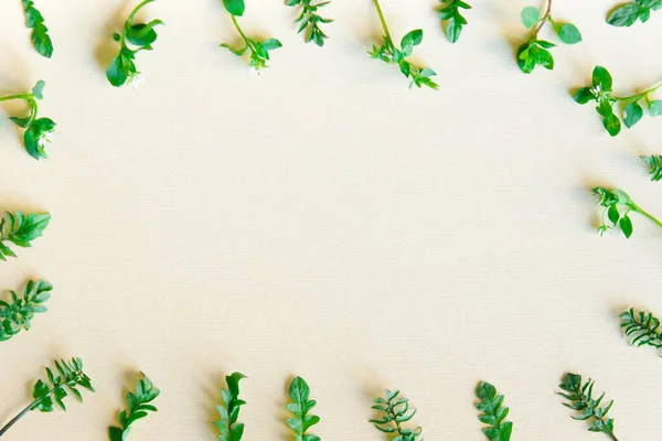Gyönyörű Virágcsokor Kis Zöld Levelek Szabad Hely Szöveg Egy Könnyű — Stock Fotó