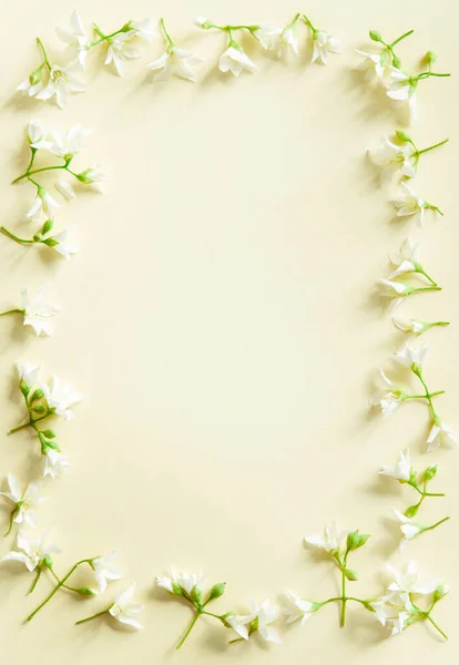 Fundo Floral Natural Delicado Cores Pastel Luz Textura Flores Jasmim — Fotografia de Stock