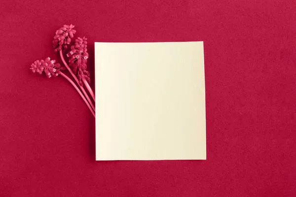 纸张背景色彩2023活体洋红 2023年的Viva Magenta颜色演示 有文字空间的美丽花卉卡片 — 图库照片