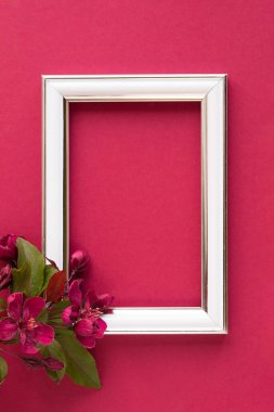 Kağıt arkaplan Rengi 2023 Viva Magenta. Yaşasın 2023 yılının eflatun rengi. Metin için yeri olan güzel çiçek kartı.