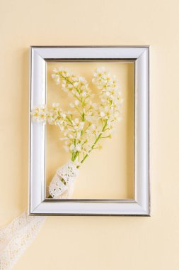  Çiçek açan beyaz kuş kirazının dalları boş beyaz bir fotoğraf çerçevesinin yanında sade, narin bir pastel arka planda..