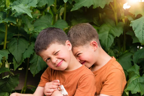 两个快乐的男孩快乐的兄弟在一起快乐的笑着兄弟们夏天在户外玩耍 好朋友们 — 图库照片