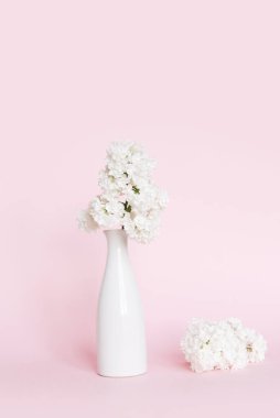 White lilac flowers. Composition of flowers in a white vase. Beautiful flowers on a light pink pastel paper background.