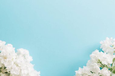 White lilac flowers. Composition of flowers. Beautiful flowers on a light pastel paper background.