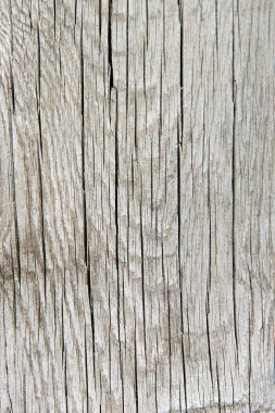 wooden texture background, old wood texture to add text for background product. vertical