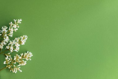 Beautiful flower arrangement. Mockup. White lilac flowers, free space for text on light green background. Wedding, birthday. Valentine's Day, Mother's Day. top view, copy space