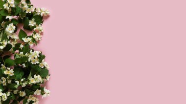 Beautiful flower arrangement. mockup. White jasmine flowers, free space for text on light pastel background. Wedding, birthday. Valentine's Day, Mother's Day. top view, copy space