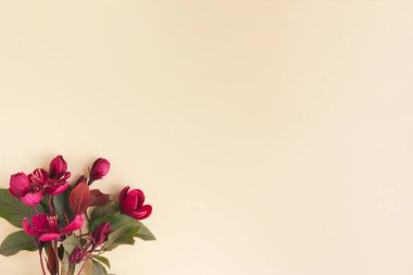 Happy mother's day, women's day or birthday pastel colors background. Floral flat lay minimalism greeting card. Mockup. Beautiful natural flowers on a plain background.