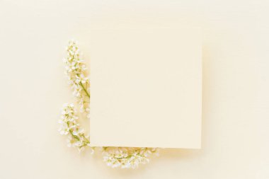 Happy mother's day, women's day or birthday pastel colors background. Floral flat lay minimalism greeting card. Mockup. Beautiful natural flowers on a plain background.
