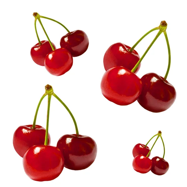 Three Ripe Red Cherries Branch Isolated — Stock Photo, Image