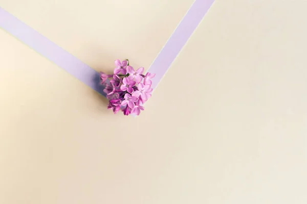 Belo Arranjo Flores Mockup Flores Lilás Espaço Livre Para Texto — Fotografia de Stock