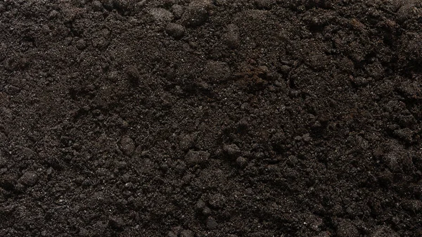 作为背景的有纹理的褐色地球表面 肥沃的土壤 从上面看土壤的有机组成 — 图库照片