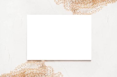  Boş tebrik kartı, davetiye ve zarf modeli. Kuru çiçek ve dallardan yapılmış minimum çiçek çerçevesi. Düz yerde, üst tarafta. Anneler günün kutlu olsun, kadınlar günü veya doğum günün kutlu olsun, düğün kompozisyonu.