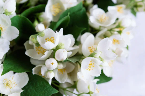 幸せな母の日 女性の日や誕生日のパステルカラーの背景 花のミニマリズムグリーティングカード 白いテーブルクロスとテーブルの上に繊細な白いジャスミンの花 — ストック写真