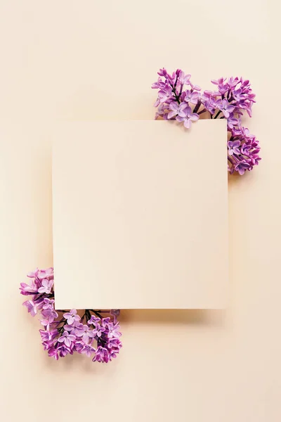 母亲节快乐 女人的生日或背景 花平铺着简约贺卡 平原背景上美丽的自然花朵 — 图库照片