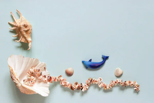 貝殻だよ 夏のコンセプト 青い背景 トップビュー モックアップ テキストのためのコピースペースの美しい海のシェルとフラットレイアウト組成物 — ストック写真