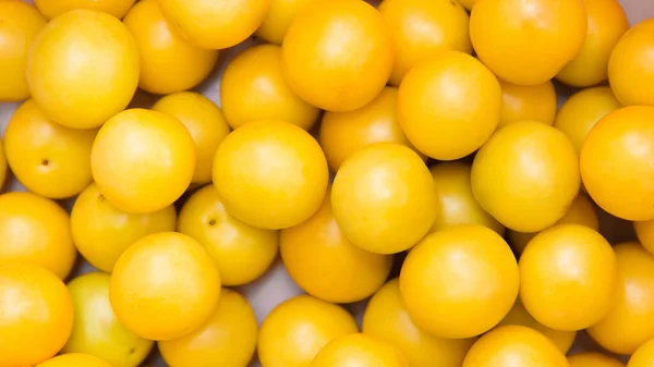 Żółta Dojrzała Śliwka Wiśniowa Owocowe Tło Sezonowe Zbiory — Zdjęcie stockowe