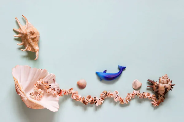 貝殻だよ 夏のコンセプト 青い背景 トップビュー モックアップ テキストのためのコピースペースの美しい海のシェルとフラットレイアウト組成物 — ストック写真