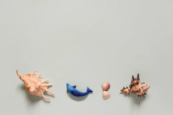 Seashells Conceito Verão Composição Leigos Planos Com Belas Conchas Mar — Fotografia de Stock