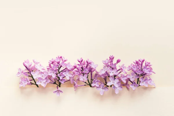 Feliz Dia Mãe Dia Das Mulheres Fundo Aniversário Floral Plana — Fotografia de Stock