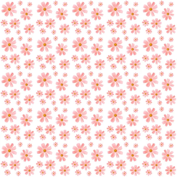 Floral Μοτίβο Από Ροζ Λουλούδια Σύμπαν Λευκό Φόντο Επίπεδη Θέα — Φωτογραφία Αρχείου