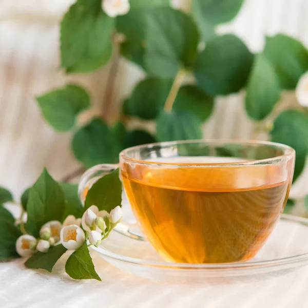 Bylinný Čaj Jasmínovými Květy — Stock fotografie