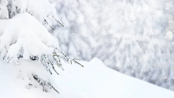 Vintern Ljus Snöig Bakgrund Nyårslandskap Med Snödrev Och Tallgrenar Kylan — Stockfoto
