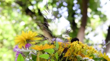 beautiful background of bright wildflowers