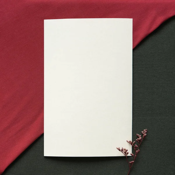 空白纸卡片 带有模拟复制空间和中性红 绿色背景的干花枝 最小的审美婚礼邀请模板 平躺在地上 俯瞰四周 — 图库照片