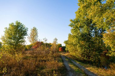 Parlak ağaçlar, çimenler ve gökyüzü bulutlu bir gün. Sonbahar manzarası. Doğanın güzelliği etrafımızda.