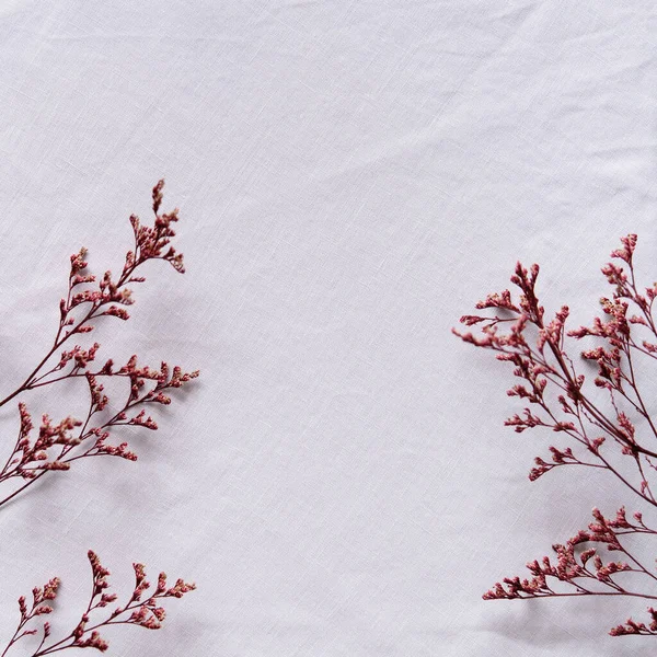 Leere Grußkarte Einladungsattrappe Minimaler Floraler Rahmen Aus Trockenen Blumen Und — Stockfoto