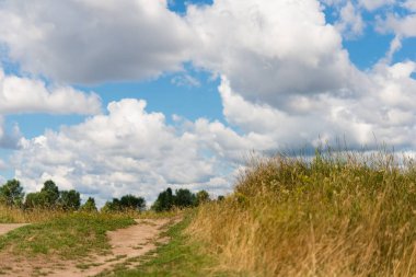 Parlak yeşil ağaçlar, kuru çimenler ve bulutlu bir günde gökyüzü. Kırsal alan. Yolun sonunda bir köpek oturur, sahibini bekler. Doğanın güzelliği etrafımızda
