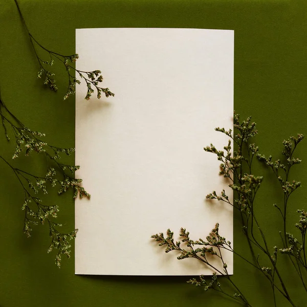 空白纸卡片 具有模拟复制空间和干燥的花分枝 中性绿色背景 最小的审美邀请模板或明信片 平躺在地上 尽收眼底 正方形 — 图库照片