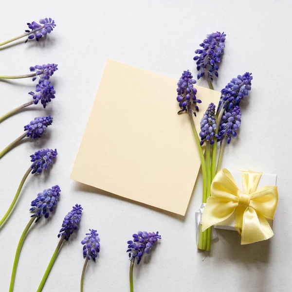 Carte Papier Avec Fleurs Muscari Boîte Cadeau Avec Noeud Satin — Photo