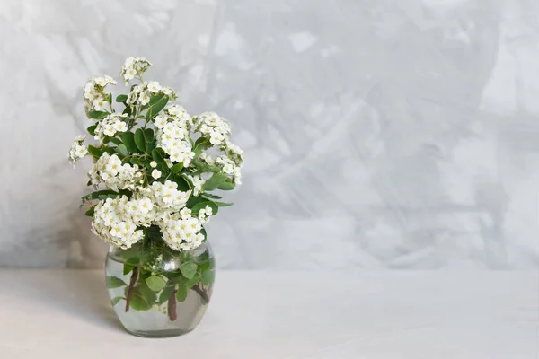 Fresh Summer Bouquet White Flowers Vase Gray Shelf Gray Loft — Stock Photo, Image