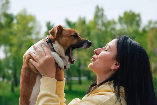 Woman Dog Close Portraits Woman Holds Dog Her Arms Hugs — Stock Photo, Image