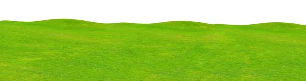 Yeşiller Yemyeşil Çayır Arka Planı Çimenler Beyaz Arkaplanda Izole Edilmiş — Stok fotoğraf