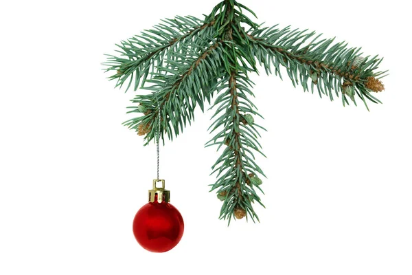 Χριστουγεννιάτικο Δέντρο Και Κόκκινα Παιχνίδια Απομονωμένο Λευκό Φόντο Έλατο Υποκατάστημα — Φωτογραφία Αρχείου
