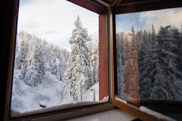 Paesaggio Con Finestra Alberi Innevati Montagna Pittoresca Scena Invernale Magica — Foto Stock