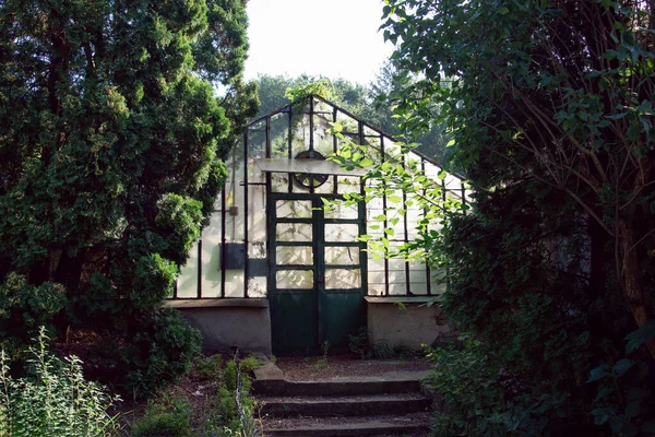 Entrada Antiguo Invernadero Victoriano Cristal Con Camino Adoquinado — Foto de Stock